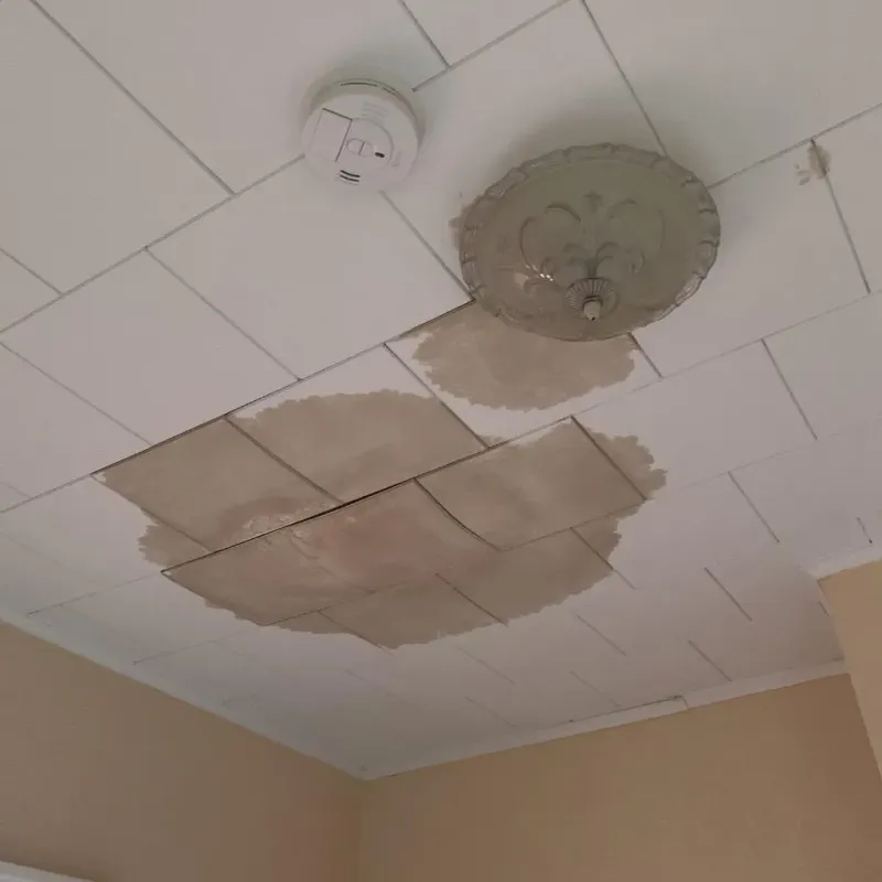 Ceiling Water Damage Repair in City of Portsmouth, VA