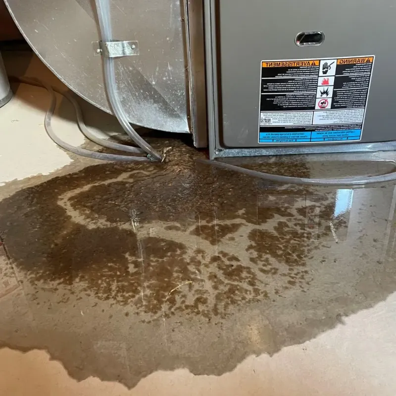 Pipe Burst and Leak Restoration in City of Portsmouth, VA