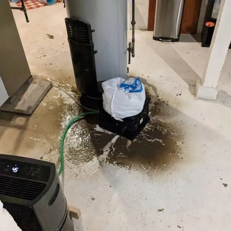 Sewage Backup Cleanup Service in City of Portsmouth, VA